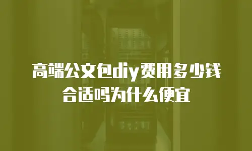 高端公文包diy费用多少钱合适吗为什么便宜