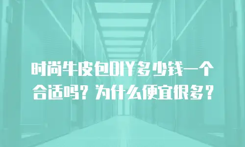 时尚牛皮包DIY多少钱一个合适吗？为什么便宜很多？