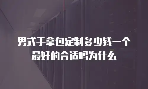 男式手拿包定制多少钱一个最好的合适吗为什么