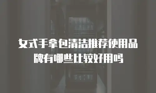 女式手拿包清洁推荐使用品牌有哪些比较好用吗