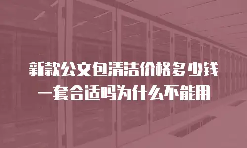 新款公文包清洁价格多少钱一套合适吗为什么不能用