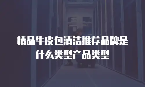 精品牛皮包清洁推荐品牌是什么类型产品类型