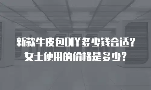 新款牛皮包DIY多少钱合适？女士使用的价格是多少？