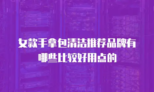 女款手拿包清洁推荐品牌有哪些比较好用点的