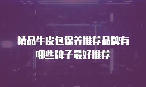 精品牛皮包保养推荐品牌有哪些牌子最好推荐