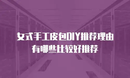 女式手工皮包DIY推荐理由有哪些比较好推荐