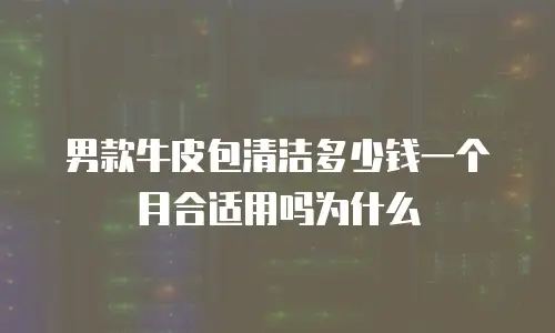 男款牛皮包清洁多少钱一个月合适用吗为什么