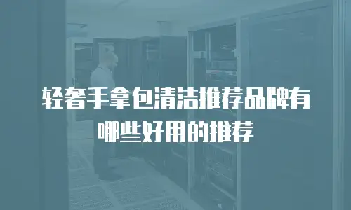 轻奢手拿包清洁推荐品牌有哪些好用的推荐