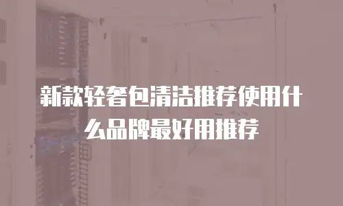 新款轻奢包清洁推荐使用什么品牌最好用推荐