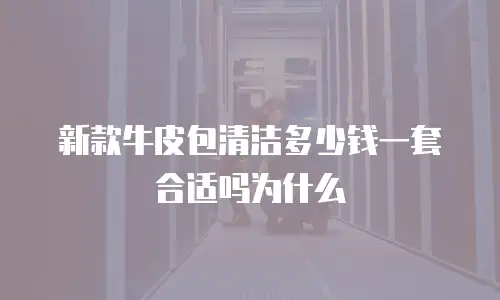 新款牛皮包清洁多少钱一套合适吗为什么
