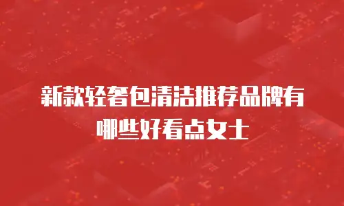 新款轻奢包清洁推荐品牌有哪些好看点女士