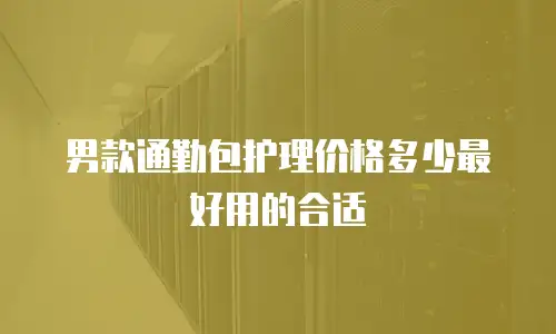 男款通勤包护理价格多少最好用的合适