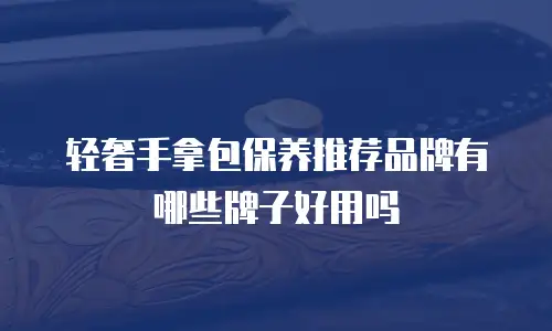轻奢手拿包保养推荐品牌有哪些牌子好用吗
