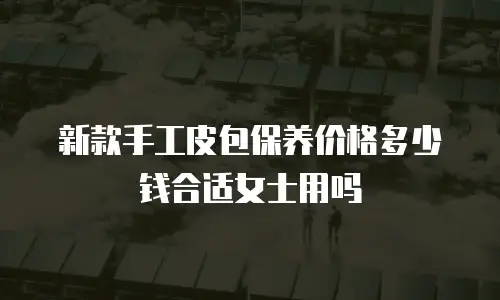 新款手工皮包保养价格多少钱合适女士用吗