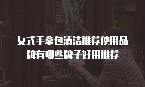 女式手拿包清洁推荐使用品牌有哪些牌子好用推荐