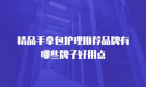 精品手拿包护理推荐品牌有哪些牌子好用点
