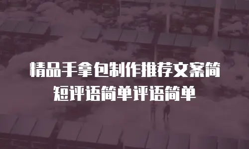 精品手拿包制作推荐文案简短评语简单评语简单