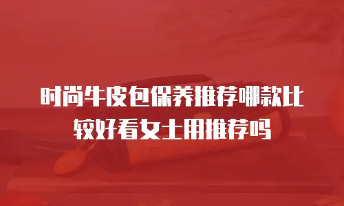 时尚牛皮包保养推荐哪款比较好看女士用推荐吗