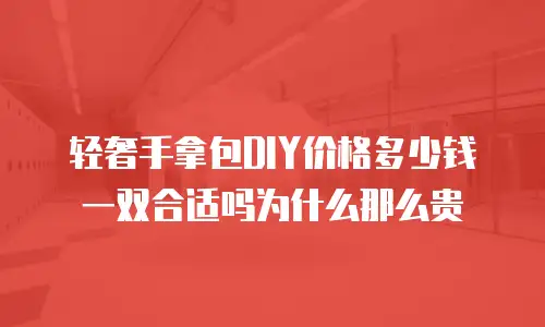轻奢手拿包DIY价格多少钱一双合适吗为什么那么贵