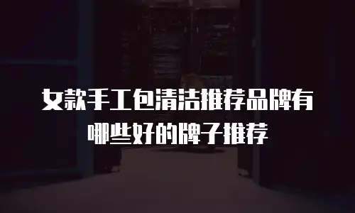 女款手工包清洁推荐品牌有哪些好的牌子推荐