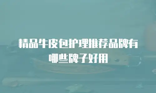 精品牛皮包护理推荐品牌有哪些牌子好用