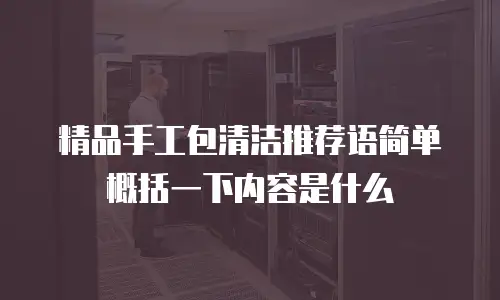 精品手工包清洁推荐语简单概括一下内容是什么