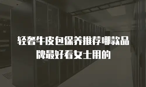 轻奢牛皮包保养推荐哪款品牌最好看女士用的