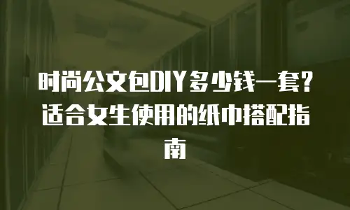 时尚公文包DIY多少钱一套？适合女生使用的纸巾搭配指南