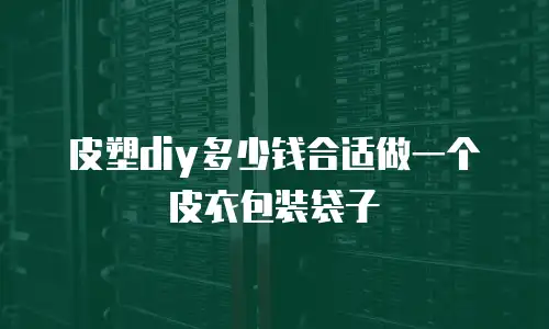 皮塑diy多少钱合适做一个皮衣包装袋子