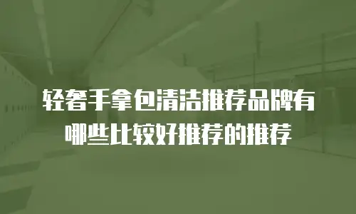 轻奢手拿包清洁推荐品牌有哪些比较好推荐的推荐