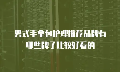男式手拿包护理推荐品牌有哪些牌子比较好看的