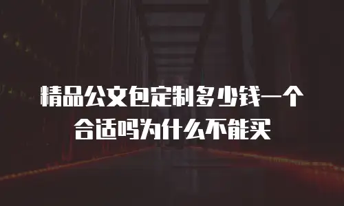 精品公文包定制多少钱一个合适吗为什么不能买