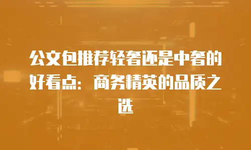 公文包推荐轻奢还是中奢的好看点：商务精英的品质之选