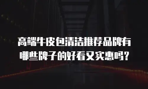 高端牛皮包清洁推荐品牌有哪些牌子的好看又实惠吗？