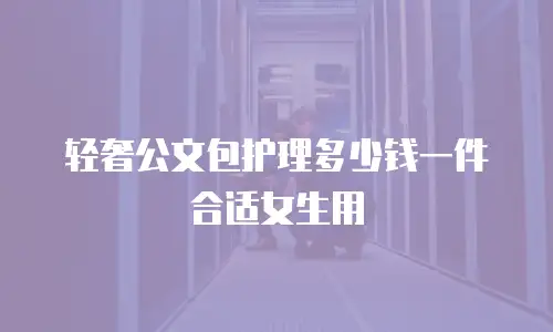 轻奢公文包护理多少钱一件合适女生用