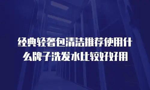 经典轻奢包清洁推荐使用什么牌子洗发水比较好好用