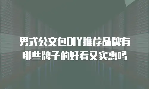 男式公文包DIY推荐品牌有哪些牌子的好看又实惠吗