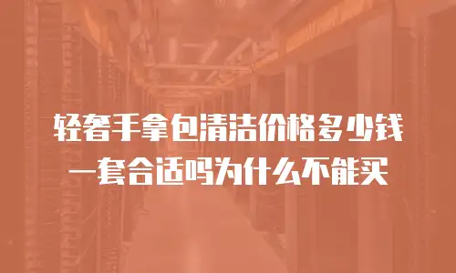 轻奢手拿包清洁价格多少钱一套合适吗为什么不能买