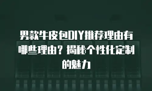 男款牛皮包DIY推荐理由有哪些理由？揭秘个性化定制的魅力