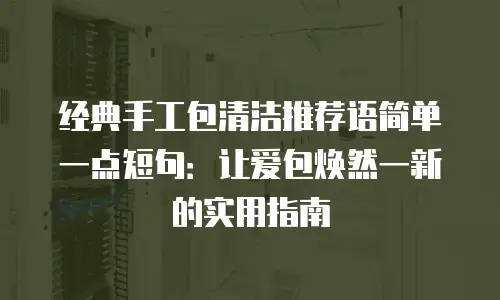 经典手工包清洁推荐语简单一点短句：让爱包焕然一新的实用指南