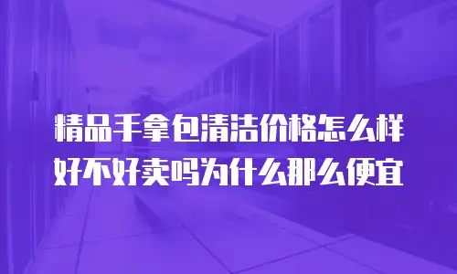 精品手拿包清洁价格怎么样好不好卖吗为什么那么便宜