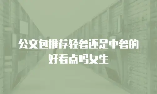 公文包推荐轻奢还是中奢的好看点吗女生