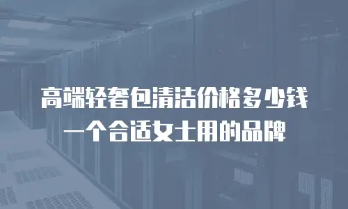 高端轻奢包清洁价格多少钱一个合适女士用的品牌