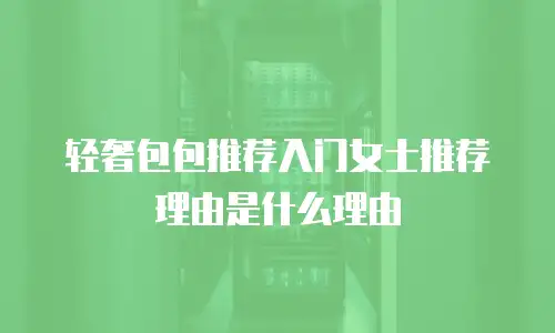 轻奢包包推荐入门女士推荐理由是什么理由