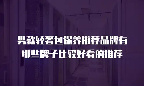 男款轻奢包保养推荐品牌有哪些牌子比较好看的推荐