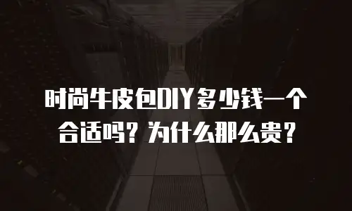 时尚牛皮包DIY多少钱一个合适吗？为什么那么贵？