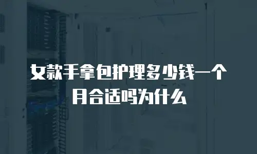 女款手拿包护理多少钱一个月合适吗为什么