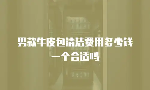 男款牛皮包清洁费用多少钱一个合适吗