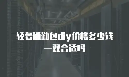 轻奢通勤包diy价格多少钱一双合适吗