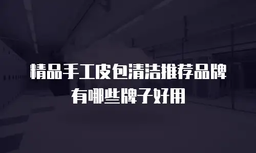 精品手工皮包清洁推荐品牌有哪些牌子好用